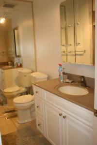 a bathroom with a toilet and a sink at Bungalow in Green Area in Ottawa