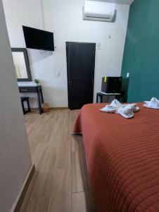 Postel nebo postele na pokoji v ubytování Céntrica habitación cama queen - Gran Nehtolli #6 - Sin Estacionamiento