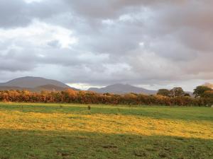 een veld met bomen en bergen op de achtergrond bij Seion - Hw7575 in Llanddeiniolen