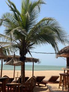 eine Palme am Strand mit Stühlen und Sonnenschirmen in der Unterkunft La Tour Rouge in M'bour