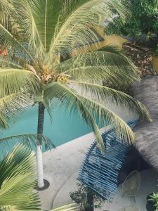 Blick auf eine Palme neben einem Pool in der Unterkunft La Tour Rouge in M'bour