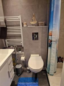 a small bathroom with a toilet and a shower at quiet apartment 2 in Rüsselsheim