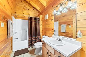 a bathroom with a white sink and a toilet at Along the Trail Cabin with Hot Tub Pool Pond Game Room in Wear Valley