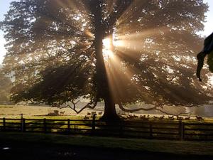 Phong cảnh thiên nhiên gần nhà nghỉ dưỡng