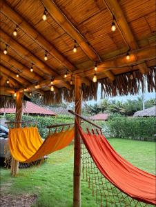 Κήπος έξω από το Casa Manglar Ruta spondylus