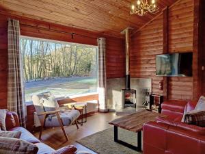 RashfieldにあるWillow Lodgeのリビングルーム(暖炉、大きな窓付)