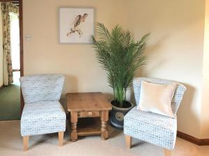 two chairs and a table and a potted plant at Chapman House in Parkham