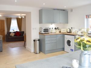 a kitchen with a washer and dryer at Delfryn in Llanarth