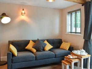 a living room with a blue couch with yellow pillows at Brookfields in Slingsby