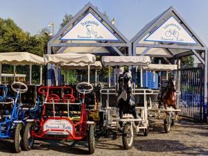 a horse drawn carriage with a horse pulling it at Briesenick-Radde in Tossenserdeich +7 photos