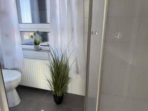 a bathroom with a shower with a toilet and a window at Briesenick-Radde in Tossenserdeich
