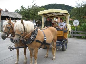 two horses pulling a carriage with two people at Holiday apartment with 1 bedroom in Fischbachau