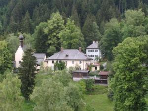 菲施巴豪Holiday apartment with 2 bedrooms的森林中间的白色大房子