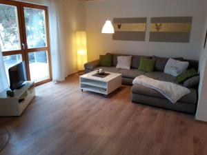 ein Wohnzimmer mit Sofa und Fernseher in der Unterkunft Holiday home in Hornberg with swimming pool in Niederwasser