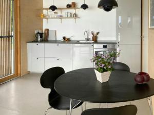 Kuchyň nebo kuchyňský kout v ubytování Modern Summer House By The Water In Hellebæk