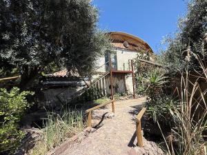 a house with a stone walkway in front of it at Loft acogedor en el campo in Putaendo