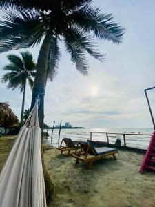 a hammock under a palm tree on a beach at Hotel Los Nogales Coveñas in Coveñas