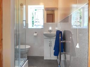 Mount HawkeにあるThe Old Dairyのトイレ、洗面台、シャワー付きのバスルーム