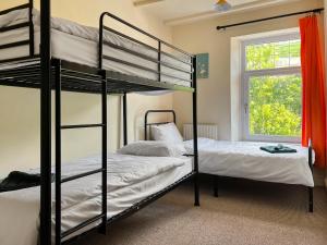 two bunk beds in a room with a window at Mushroom Cottage in Ferndale