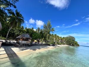 Příroda nedaleko penzionu + 12 fotografií