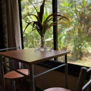 Fotografie z fotogalerie ubytování Finca Verde Lodge v destinaci Upala