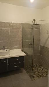 a bathroom with a shower and a sink and a shower at Maison d'hôte Trésor in Sainte-Anne
