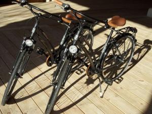 two bikes parked next to each other on a table at Steinbeck in the Thorstorf estate barn in Thorstorf +25 photos