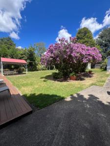 Κήπος έξω από το Clanwilliam