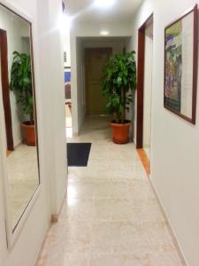 Fotografie z fotogalerie ubytování Hotel Center v destinaci Ibagué