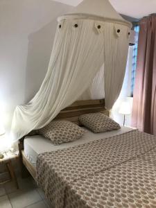 レ・トロワ・イレにあるGrand F2 luxe 3 mn plage avec jardin pointe du boutのベッドルーム1室(天蓋付きベッド1台、枕付)