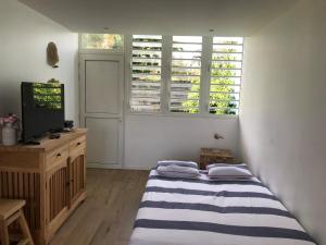 レ・トロワ・イレにあるGrand F2 luxe 3 mn plage avec jardin pointe du boutのベッドルーム(ベッド1台、テレビ、窓付)