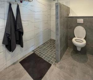 een badkamer met toilet en douche bij Grand F2 luxe 3 mn plage avec jardin pointe du bout in Les Trois-Îlets