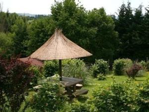 einen Picknicktisch mit einem Strohschirm im Garten in der Unterkunft Chalets avec Terrasse - Animaux Bienvenus - FR-1-489-288 in Échassières