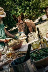 een koe die hooi eet naast een tafel met een vrouw bij CABRA - Porto Covo in Porto Covo