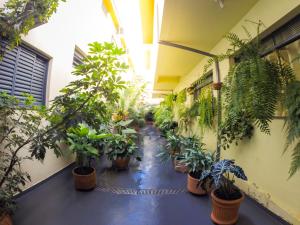 a hallway filled with lots of potted plants at Hotel Graunas in São Carlos