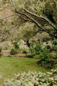Blick auf einen Park mit Bäumen und Gras in der Unterkunft Domaine des Pousses, gîte au coeur d'un village de campagne in Droue-sur-Drouette