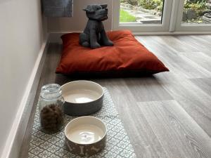 Majutusasutuse Moor View külastajatega peatuv lemmikloom või lemmikloomad