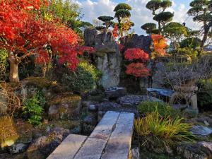 un jardin avec un banc, des arbres et des rochers dans l'établissement 日田グリーンツーリズム花の木, à Ueda