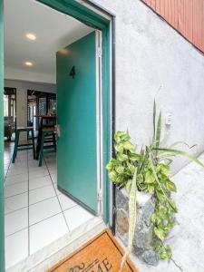 a green door on a building with a potted plant at Oceanview Stay - Walk to Beach in Enighed