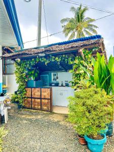 a kitchen in a house with plants at Felicitas Guest House- Siargao in General Luna