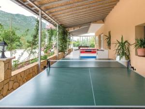 een indoor pingpongtafel in een huis met uitzicht bij Zara with heated hydromassage pool in Jasena Majići