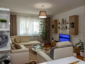 a living room with a couch and a tv at Villa Mia with pool in Aračići