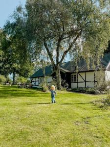 Un niño pequeño parado en el césped frente a una casa. en Framed Structure With Annexes In Österlen, en Brösarp