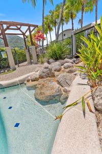 a backyard swimming pool with a water slide at Palm Cove Studio Pools Spa Bar in Palm Beach +4 photos