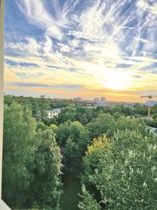 a forest of trees with the sunset in the background at Big 24qm Room Cozy Trendy Multicultural LGTB Friendly in Shared Apartment in Green Area 12 min to Downtown Alexanderplatz in Berlin