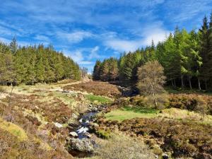 un río en medio de un campo con árboles en Braemar, en Lendalfoot 2 fotos más