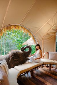 an elephant standing next to a woman in a tent at Lazula in Ban Pok Nai