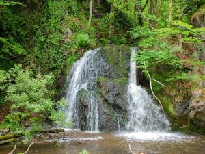 een waterval midden in een bos bij Callachy Cottage - Uk7047 in Glenurguhart +8 foto's
