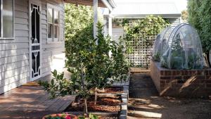 Zahrada ubytování Pear Tree Cottage + 16 fotografií