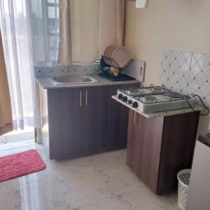 a kitchen with a stove and a sink at DADESA Pl in Kakamega